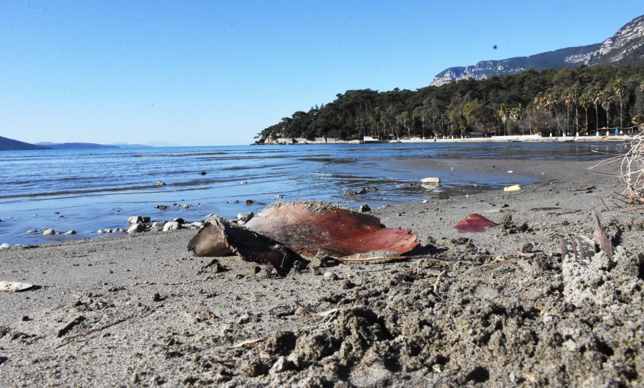 Akyaka'da deniz suyu 30 metre çekildi 9