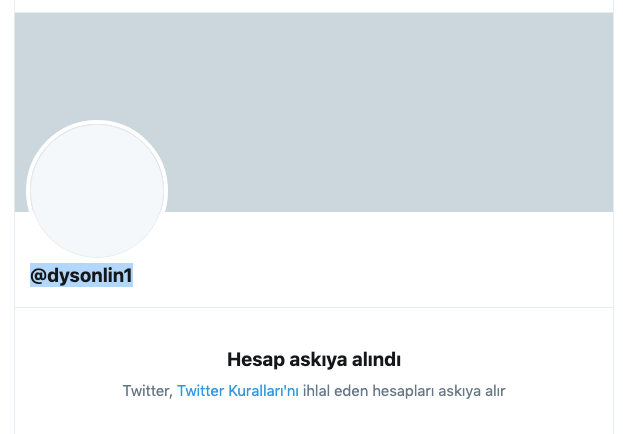 Dyson Lin, 5.4'lük depremi nasıl bildiğini açıkladı! 13