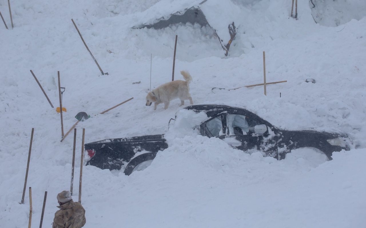 Fotoğraflarla büyük facia 18