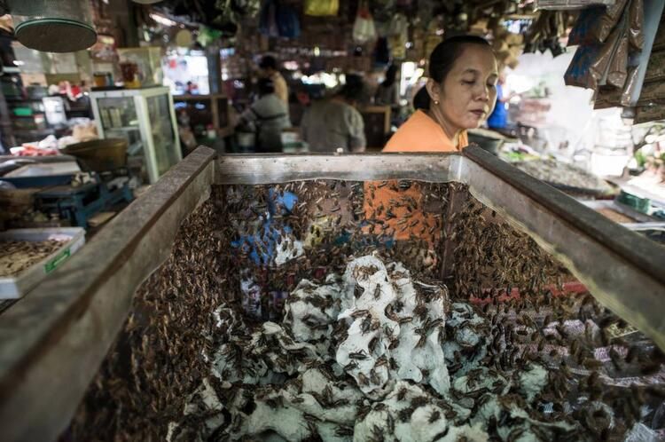 Ölüm saçan bir pazar daha 14