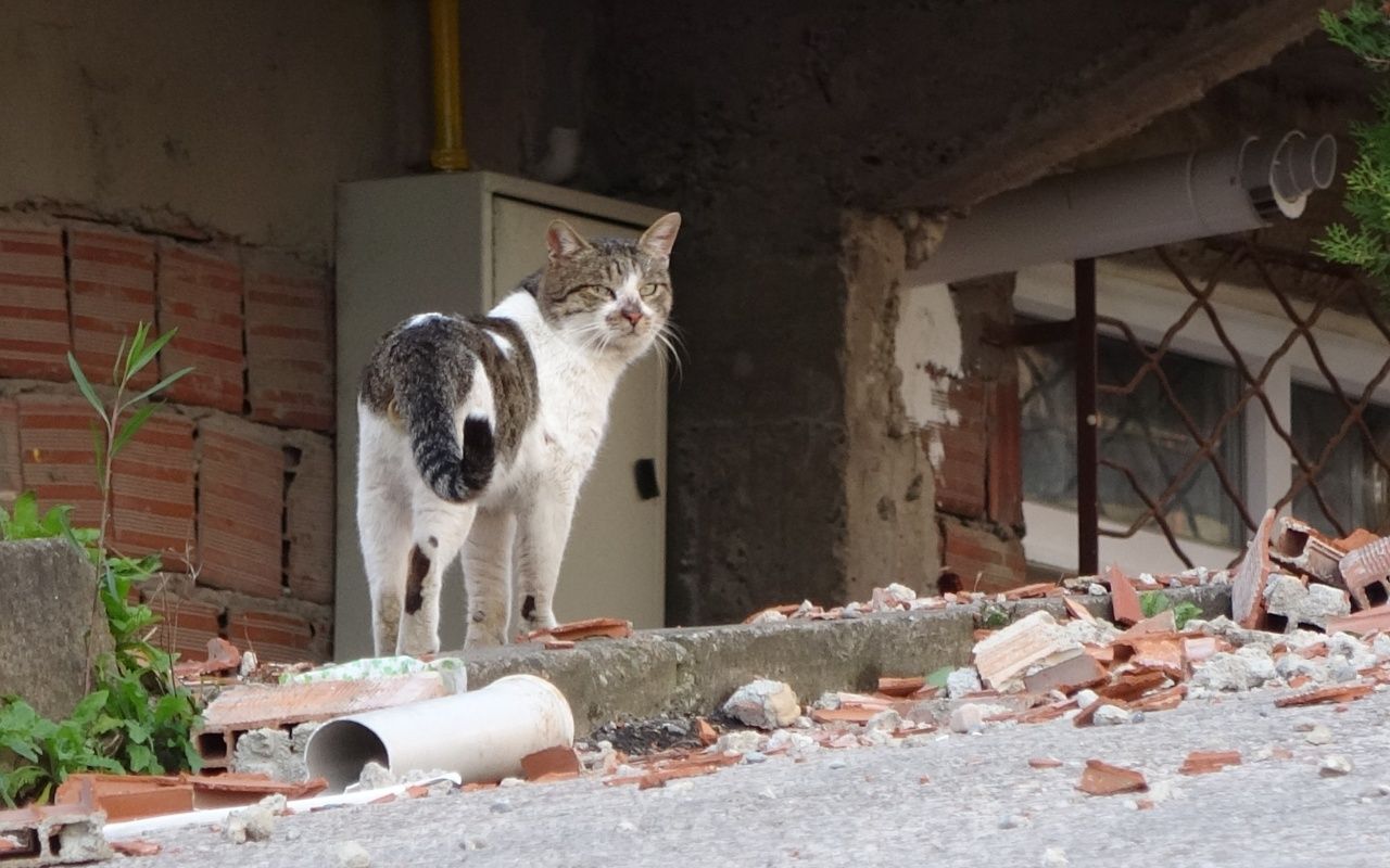 Ordu'da şiddetli fırtına çatıları uçurdu, 4 katlı bina tahliye edildi 2