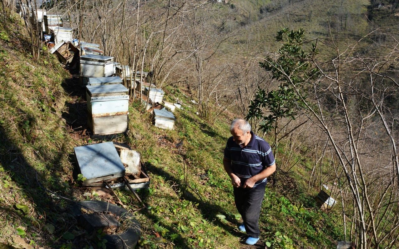 Ordu'da şiddetli fırtına çatıları uçurdu, 4 katlı bina tahliye edildi 11