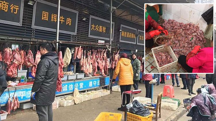 Koronayla ilgili dünyayı sarsan gelişme! Her şeyi unutun... 28