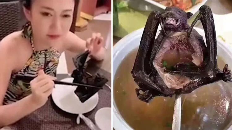 Koronayla ilgili dünyayı sarsan gelişme! Her şeyi unutun... 23