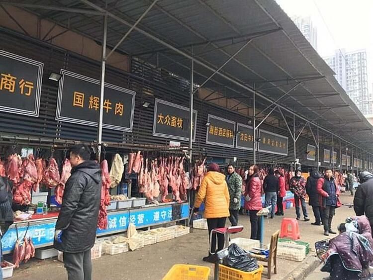 Koronayla ilgili dünyayı sarsan gelişme! Her şeyi unutun... 2