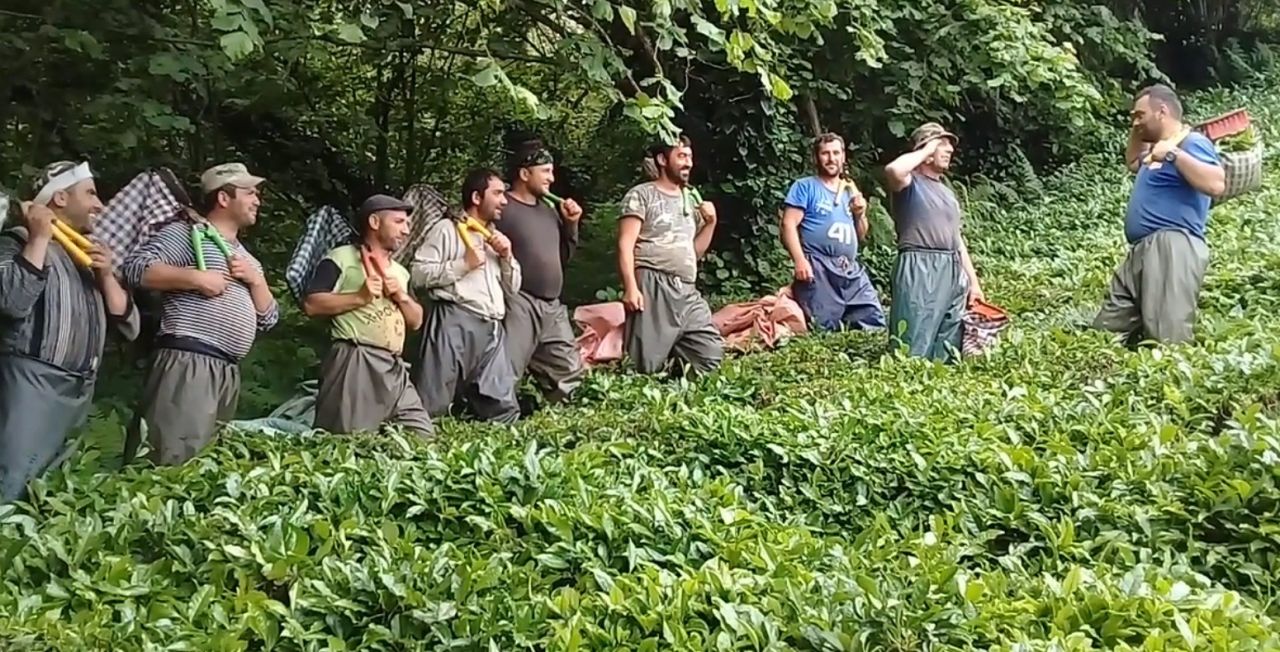 Rizelinin korona virüs sendromu! İş başa düştü... 1
