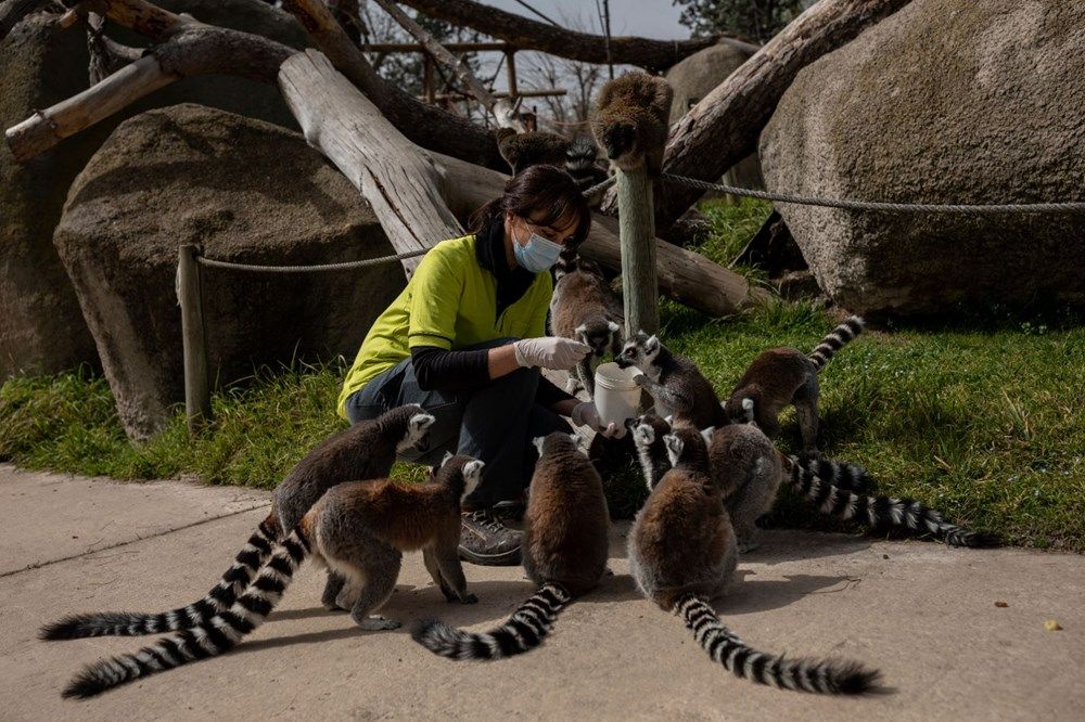 Dünya koronanın pençesinde! İşte ülke ülke son durum... 20