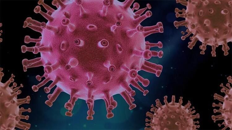 Virüsün ortaya çıkışında 'Macron' detayı: Elini sıktım hasta oldum 3
