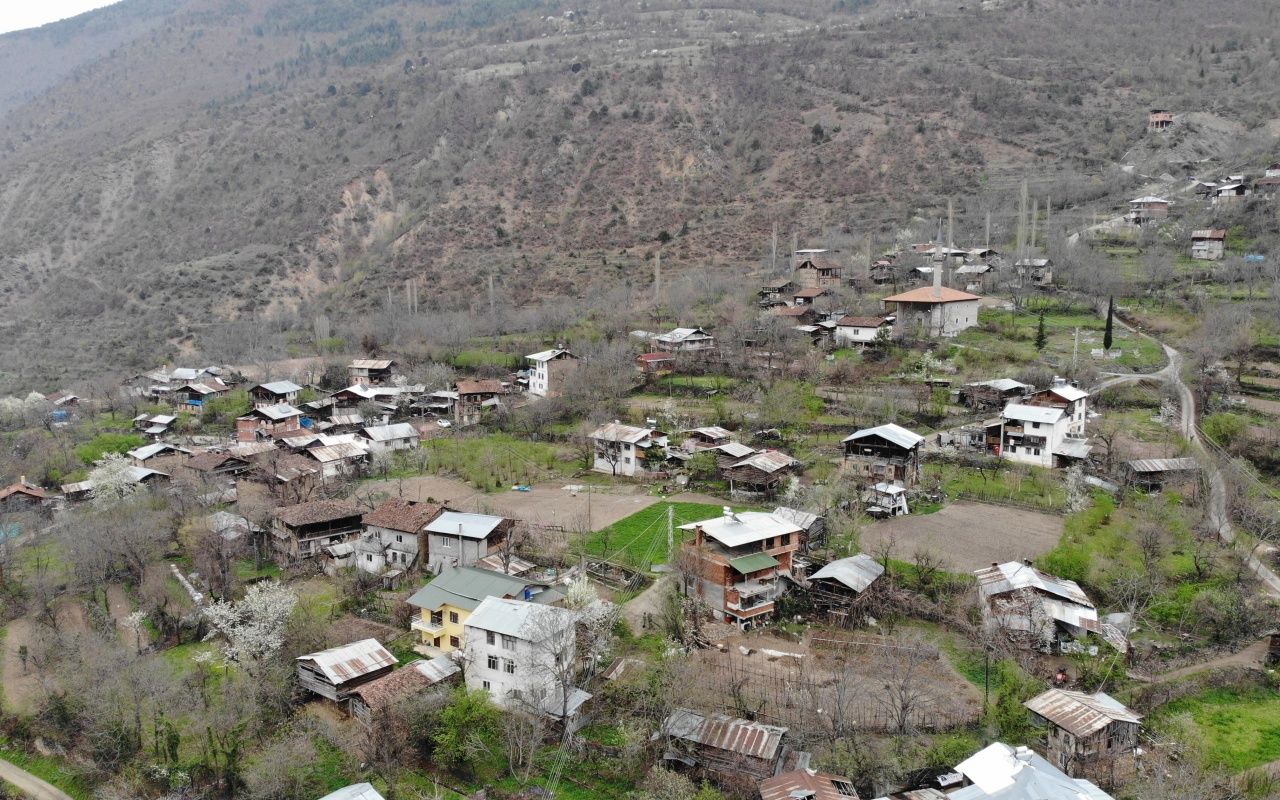 Artvin'deki bu köy kendi karantinasını oluşturdu 1