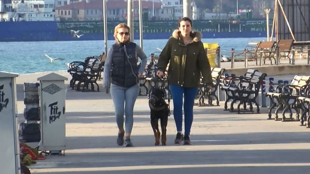 Son dakika... İstanbul'da bugün... Onca çağrılara rağmen sahilde sabah sporu 2