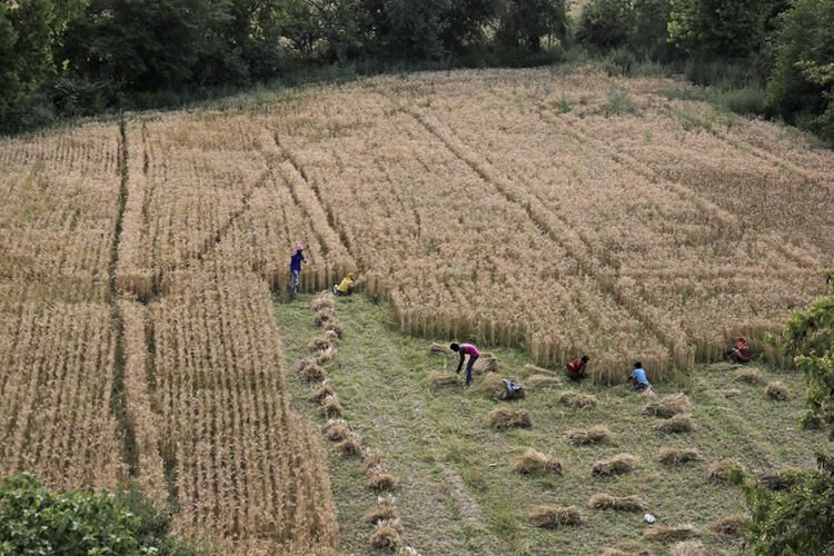 Kabus gibi... Korona virüsten daha tehlikeli sonuçları olacak... 29