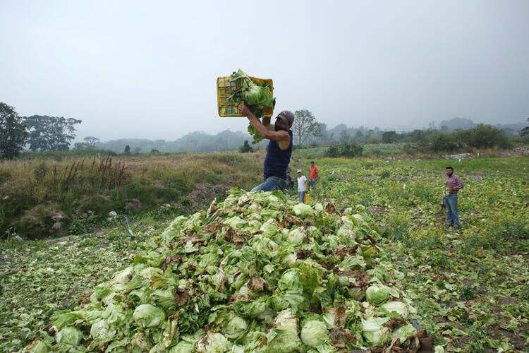 Kabus gibi... Korona virüsten daha tehlikeli sonuçları olacak... 33