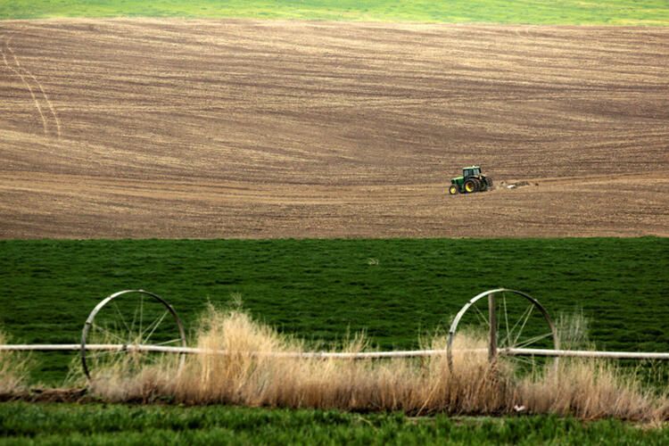 Kabus gibi... Korona virüsten daha tehlikeli sonuçları olacak... 41