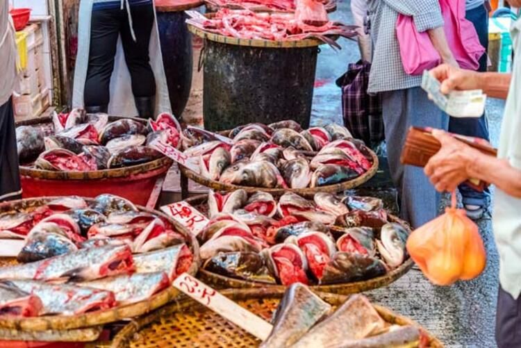 Dünya diz çöktü! Her şey bu bariyerin arkasında başladı... 12