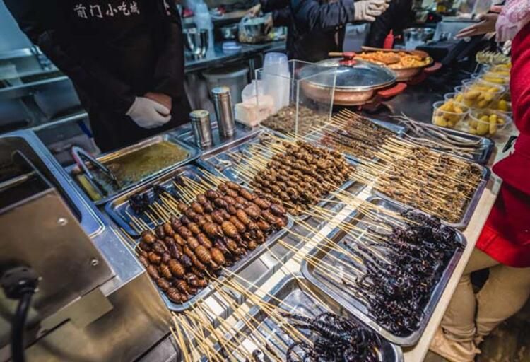 Dünya diz çöktü! Her şey bu bariyerin arkasında başladı... 21