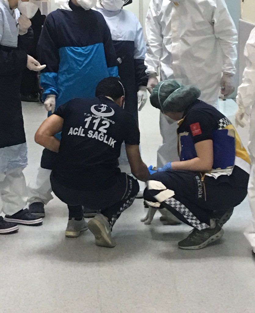Türk hekimlerine güvenileceğini biliyordu, yavrusunu ensesinden tutup acile getirdi! 8