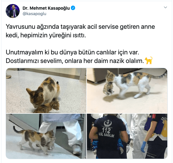 Türk hekimlerine güvenileceğini biliyordu, yavrusunu ensesinden tutup acile getirdi! 1