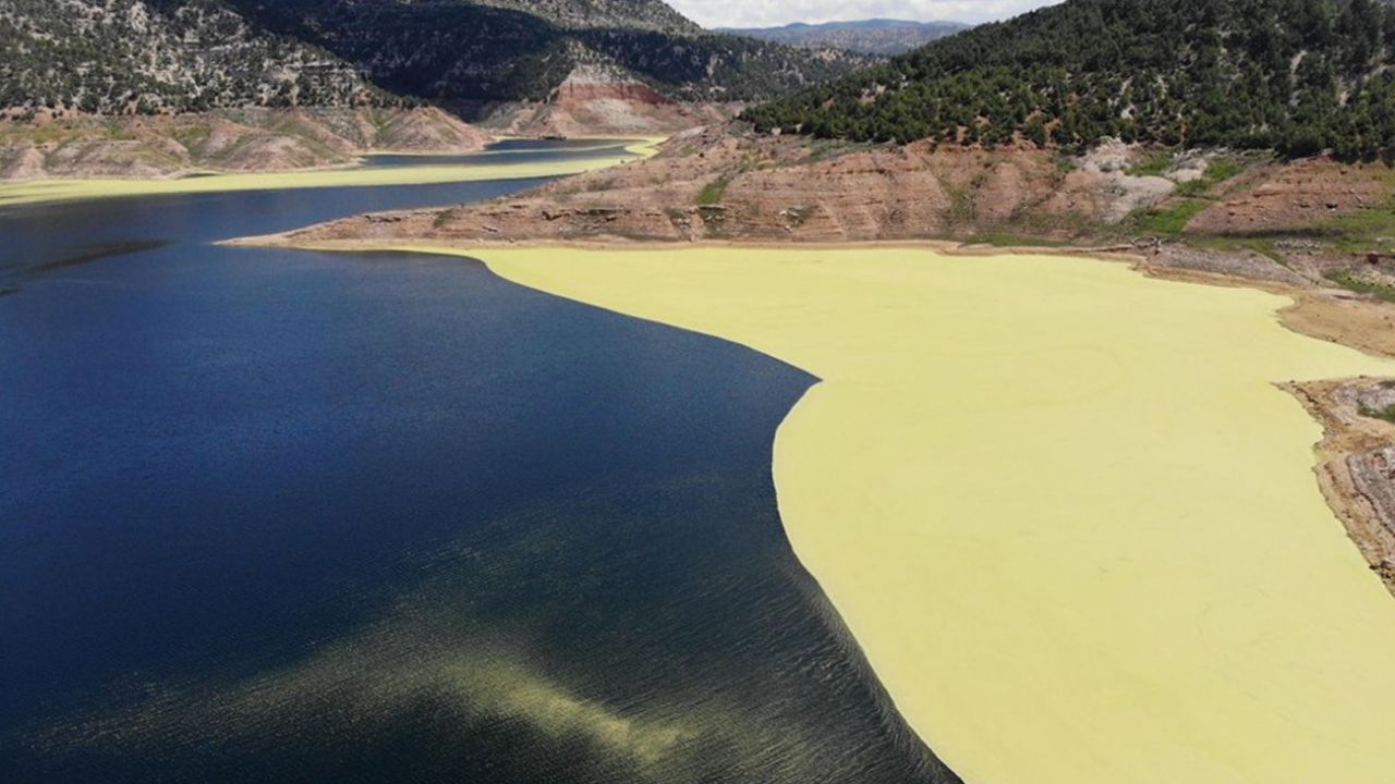 Son dakika... Denizli'de baraj göleti üzerinde oluşan yeşil tabaka tedirgin etti 10