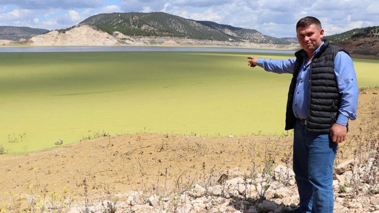 Son dakika... Denizli'de baraj göleti üzerinde oluşan yeşil tabaka tedirgin etti 7