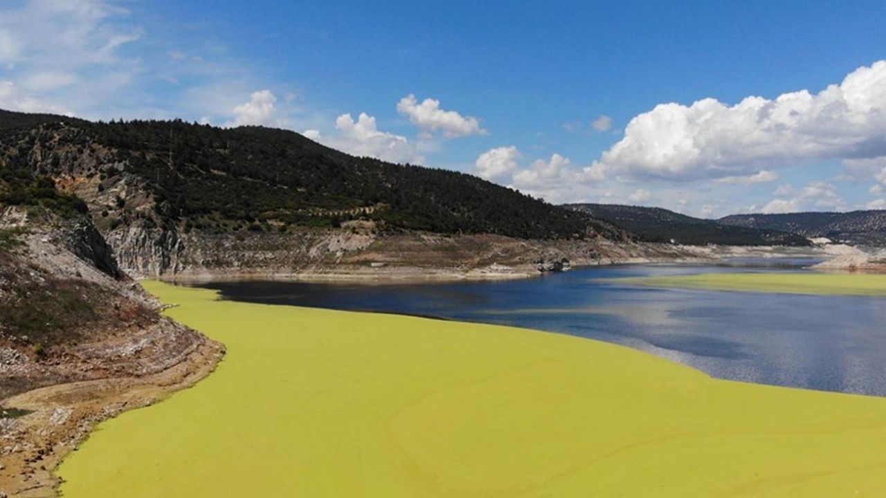 Son dakika... Denizli'de baraj göleti üzerinde oluşan yeşil tabaka tedirgin etti 8