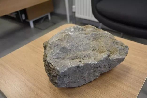 Şırnak'ta tarihi buluş! Tam 40 milyon yıllık 5