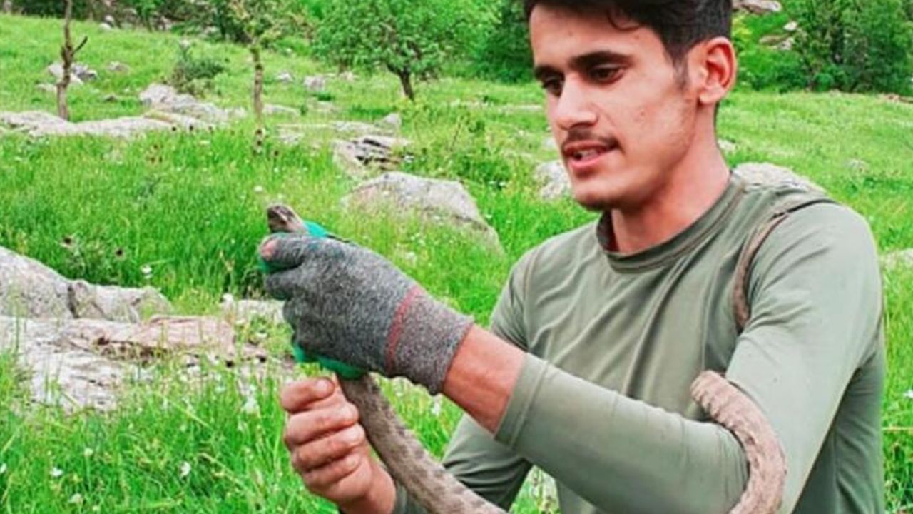 Son dakika... Boyları 1 metreyi aşıyor: Evin çatısından giriyorlar 13