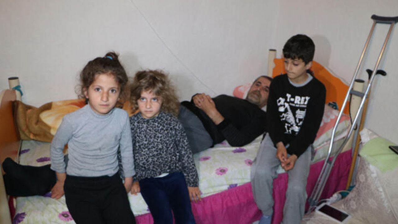 Son dakika... Boyları 1 metreyi aşıyor: Evin çatısından giriyorlar 5