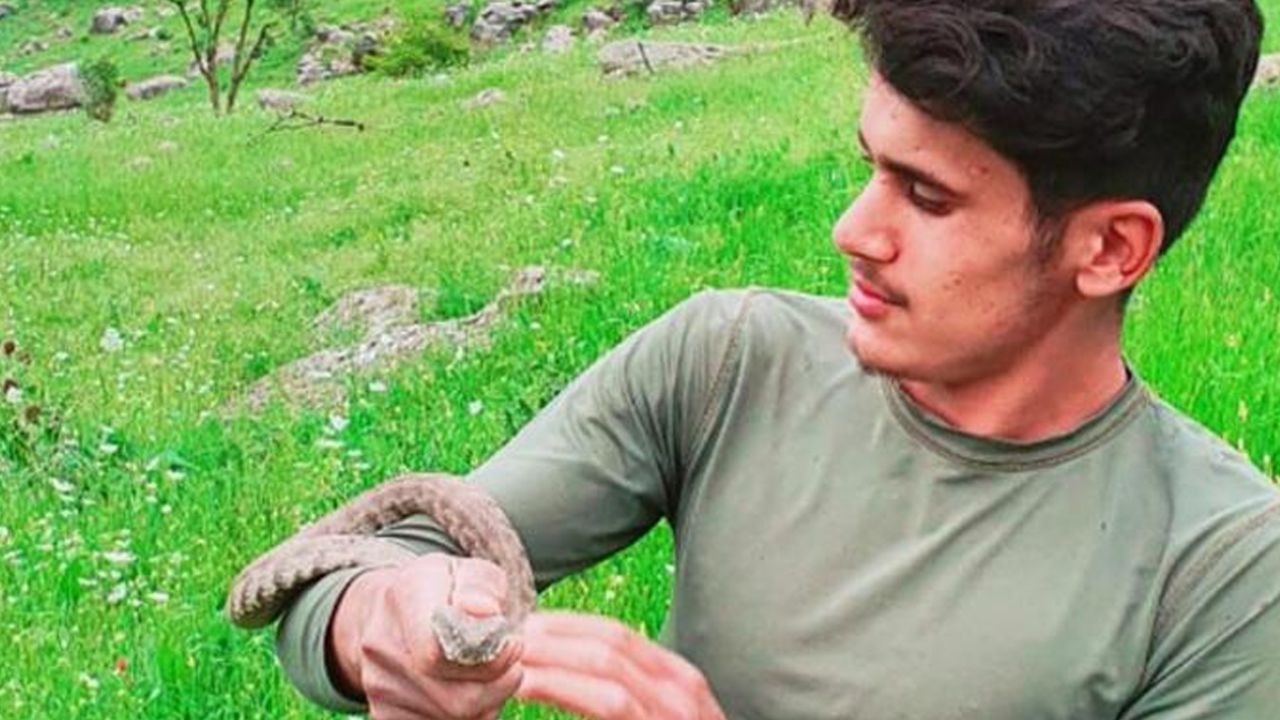 Son dakika... Boyları 1 metreyi aşıyor: Evin çatısından giriyorlar 8