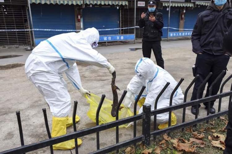 Koronayla ilgili şok iddia! Her şey değişebilir... 13