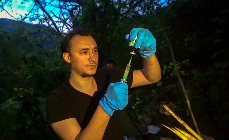 Uludağ’da kapana yakalanan ayı kurtarıldı 7