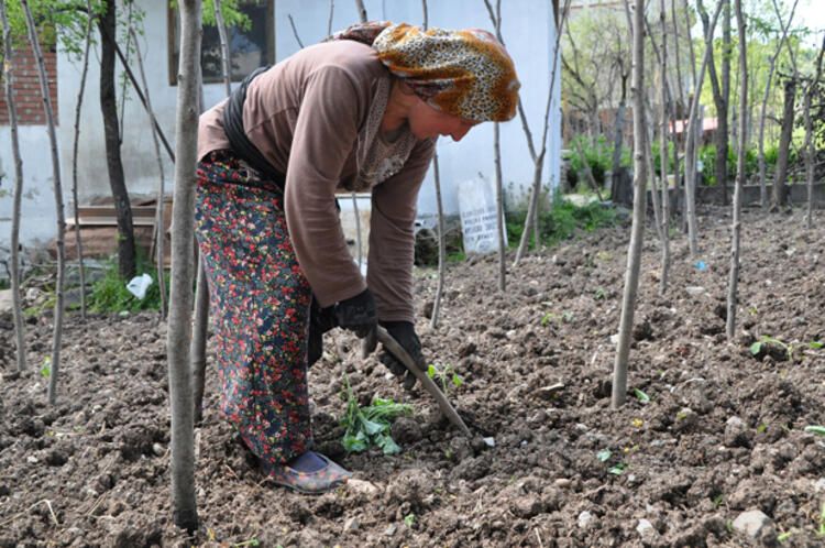 Koronavirüs Türkiye'de en uzun ömürlü insanların yaşadığı ilçeye giremedi! 11