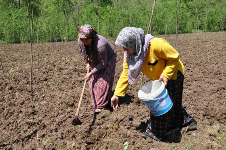 Koronavirüs Türkiye'de en uzun ömürlü insanların yaşadığı ilçeye giremedi! 12