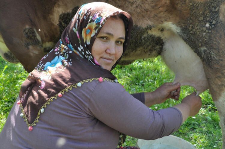 Koronavirüs Türkiye'de en uzun ömürlü insanların yaşadığı ilçeye giremedi! 9