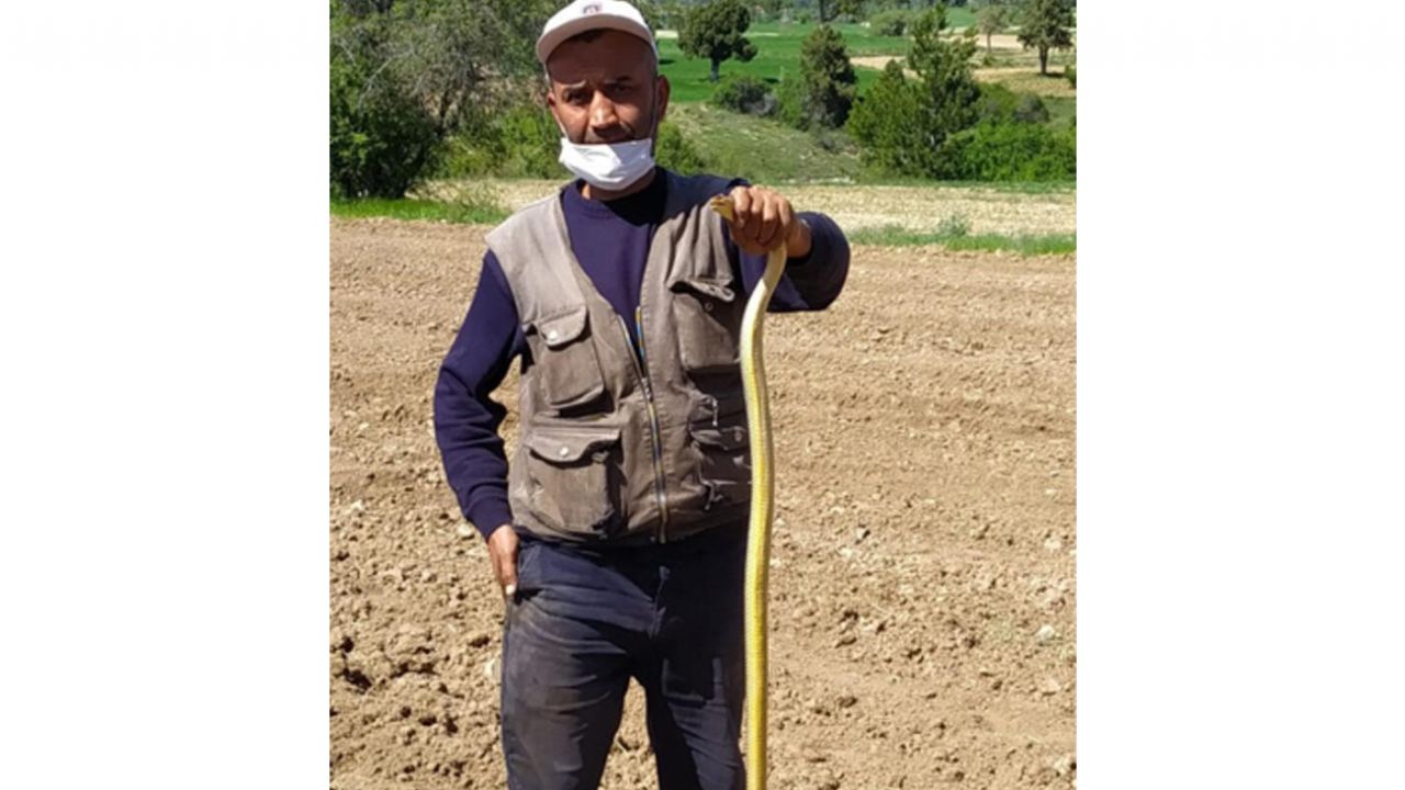Son dakika... Korkuyla izleniyor ama... Sakın öldürmeyin! 6