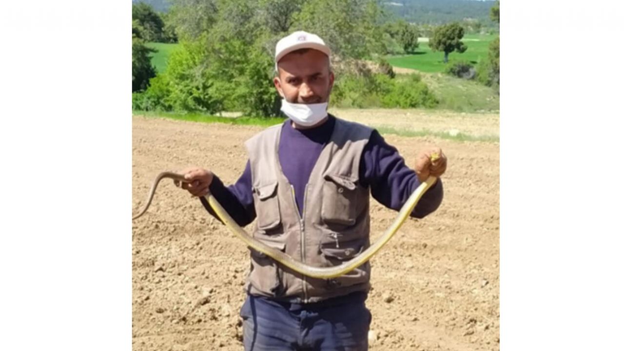 Son dakika... Korkuyla izleniyor ama... Sakın öldürmeyin! 7