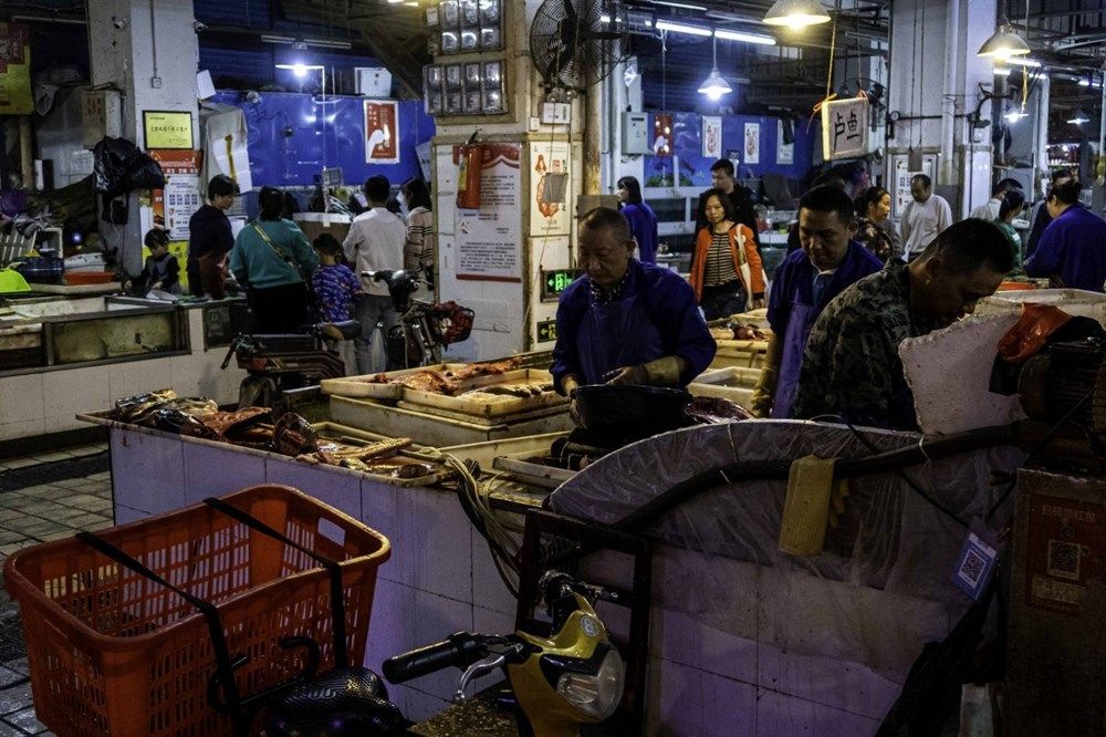 Yeni koronavirüs araştırması! "Veriler Wuhan'ı işaret etmiyor!" 2