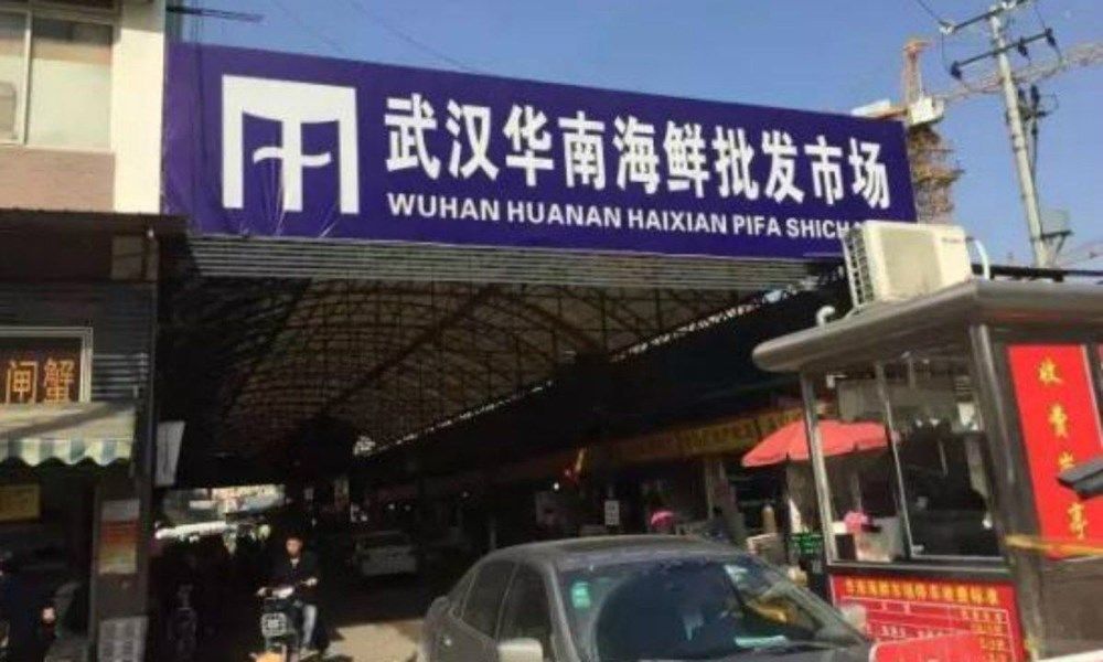 Yeni koronavirüs araştırması! "Veriler Wuhan'ı işaret etmiyor!" 1