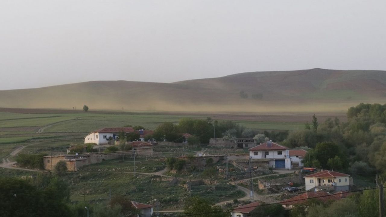 Son dakika... Yozgat'ta bir köy sinek istilasına uğradı 1