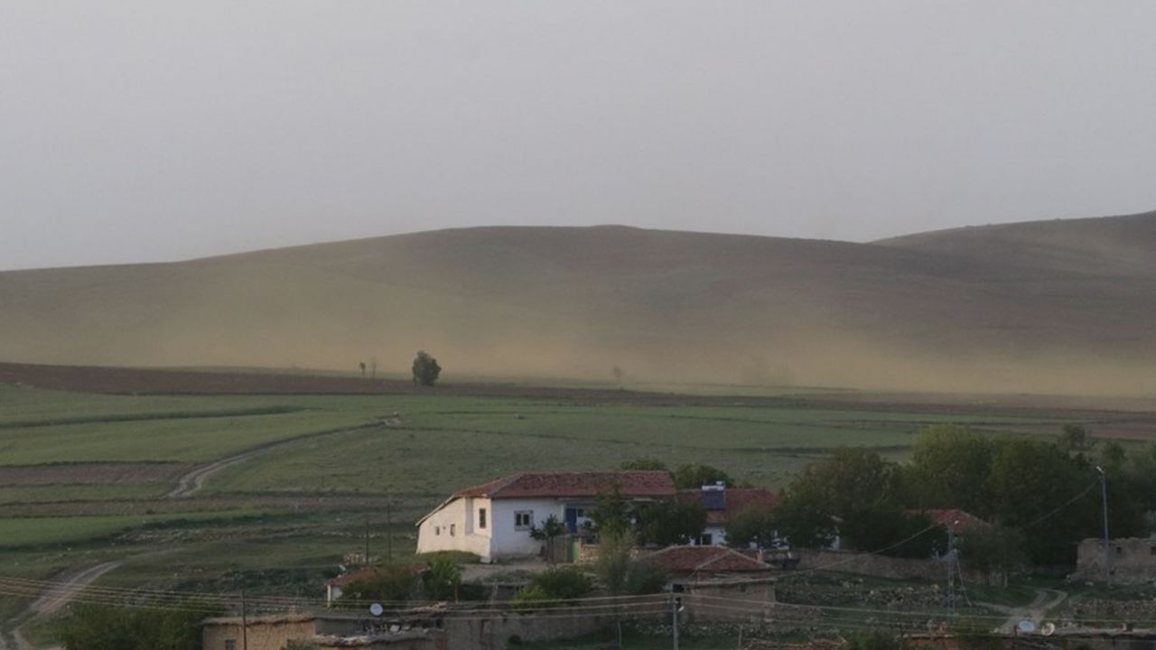 Son dakika... Yozgat'ta bir köy sinek istilasına uğradı 7