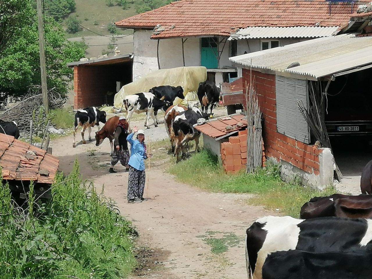 Bakan Selçuk övgüyle söz etmişti! İşte Ayşenur'un hayalindeki meslek... 1