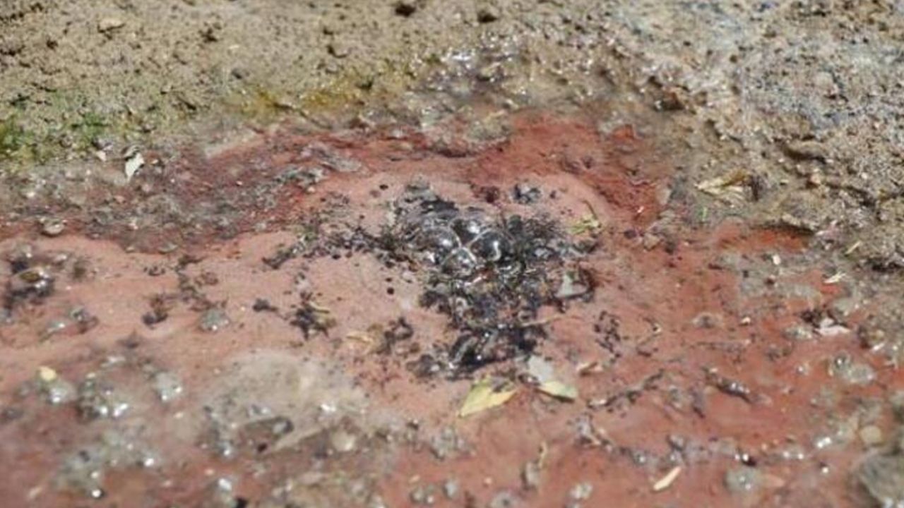 Son dakika... Karayolunun altından geçen sıcak su kaynağı asfaltı deldi 4