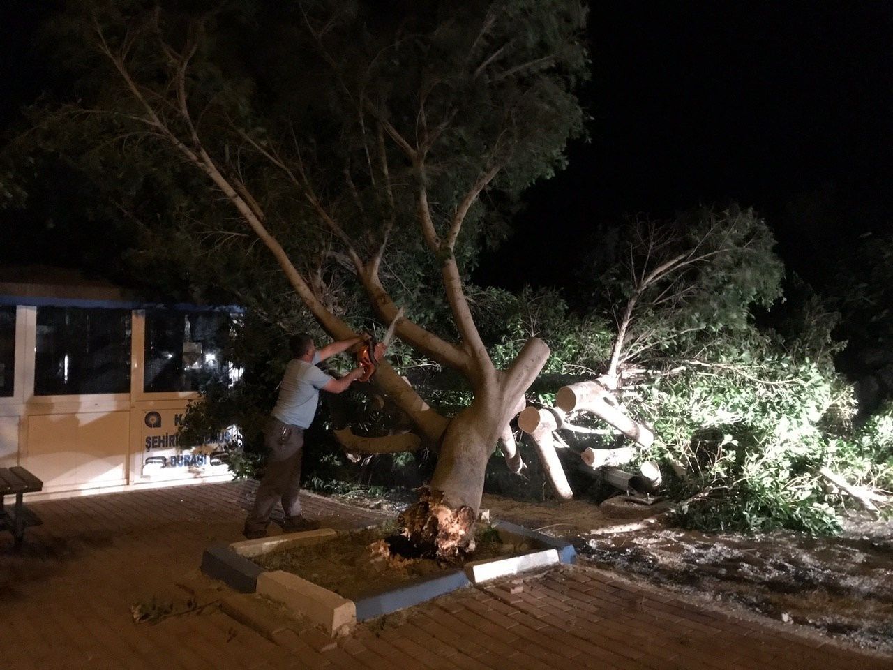 Antalya'yı fırtına vurdu! Ağaçlar devrildi, direkler yıkıldı! 9