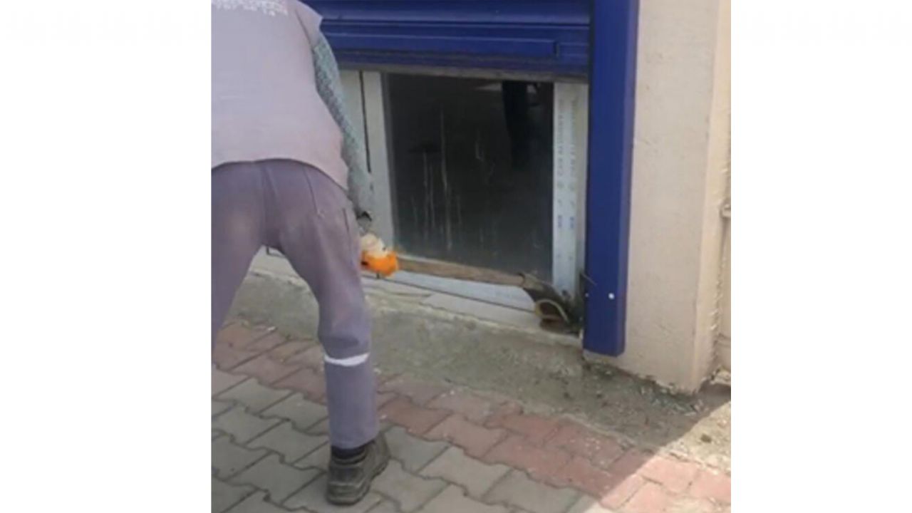 Son dakika... Kentleri yılanlar bastı... Panik büyüyor! 2,5 metrelik yılan yakalandı 5