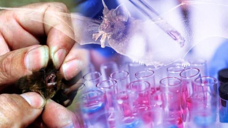 Çin, ABD'yi suçladı: Virüs yayıyor! 19