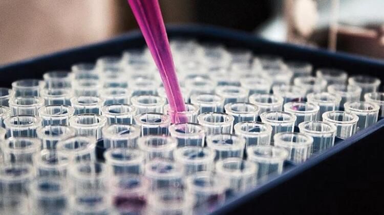 Çin, ABD'yi suçladı: Virüs yayıyor! 18