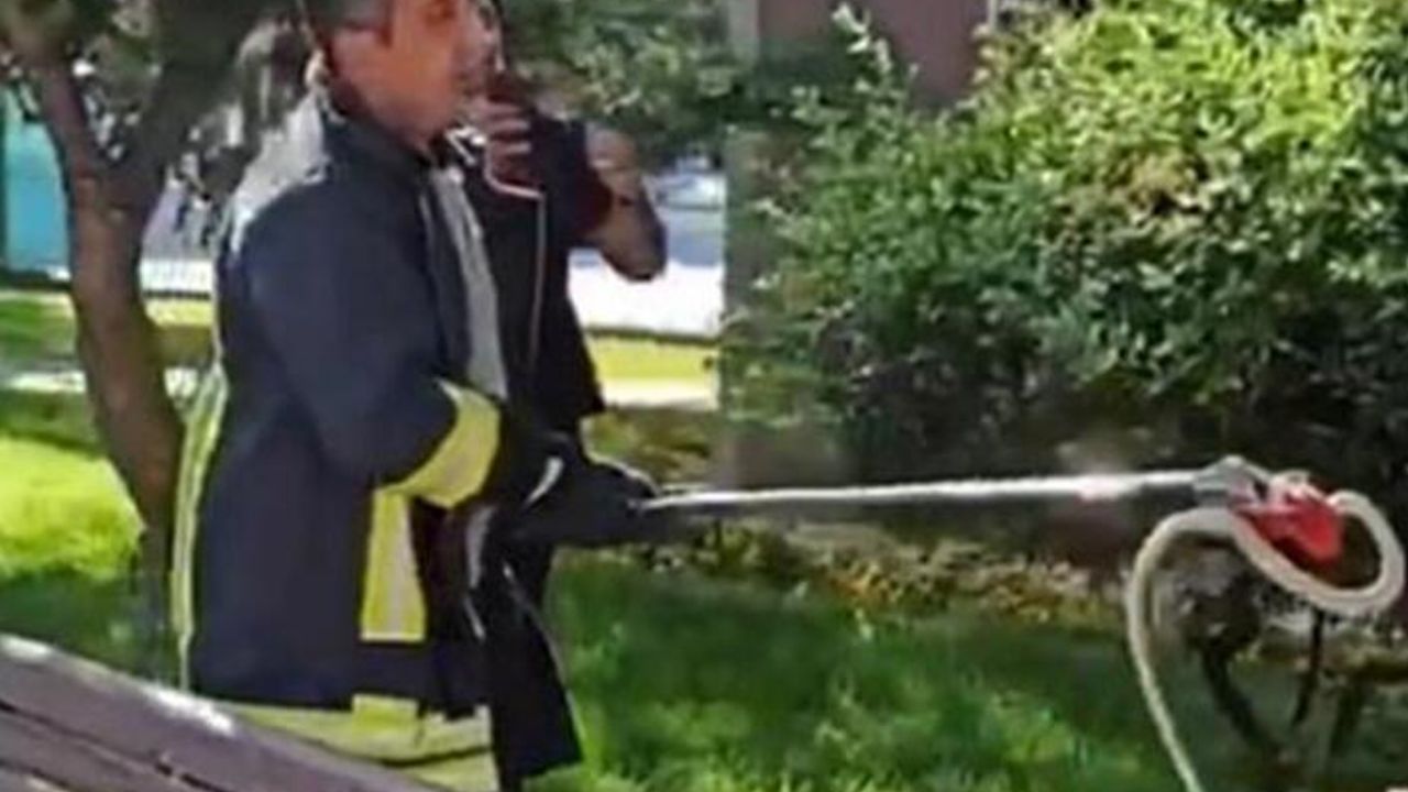 Son dakika... Yılan paniği büyüyor! 3 ilde daha görüldü 12