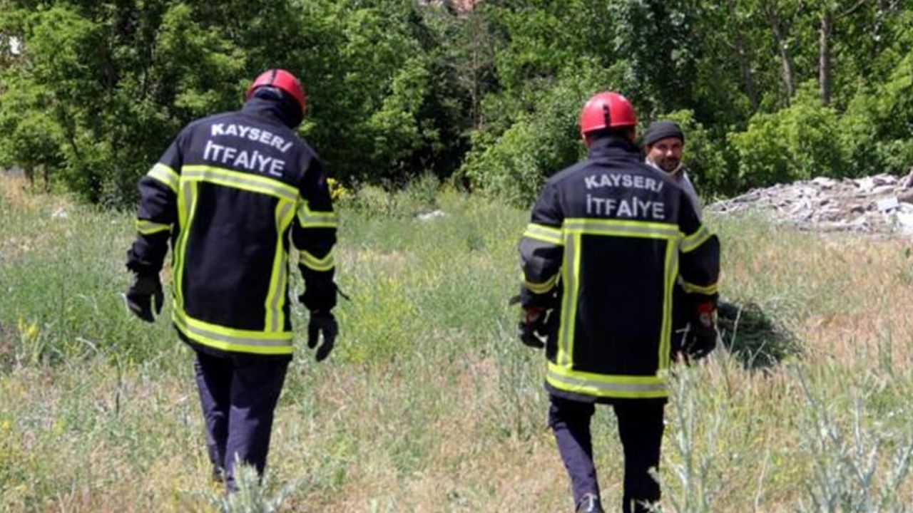Son dakika... Kayseri'deki 'Yılan Yakalama Timi' iş başında! Bu yıl 35 yılan yakalandı 3