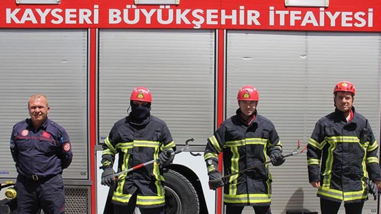 Son dakika... Kayseri'deki 'Yılan Yakalama Timi' iş başında! Bu yıl 35 yılan yakalandı 7