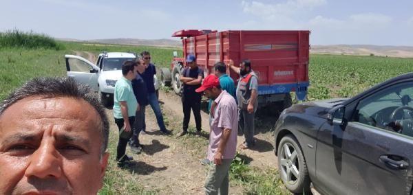 Çorum'da silahlanan köylüler arazide asşlan avına çıktı 4