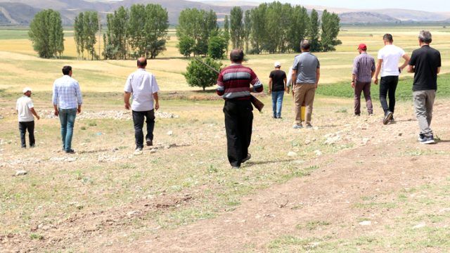 Çorum'da silahlanan köylüler arazide asşlan avına çıktı 8